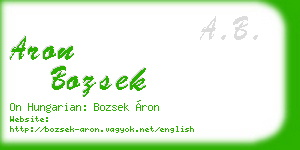 aron bozsek business card